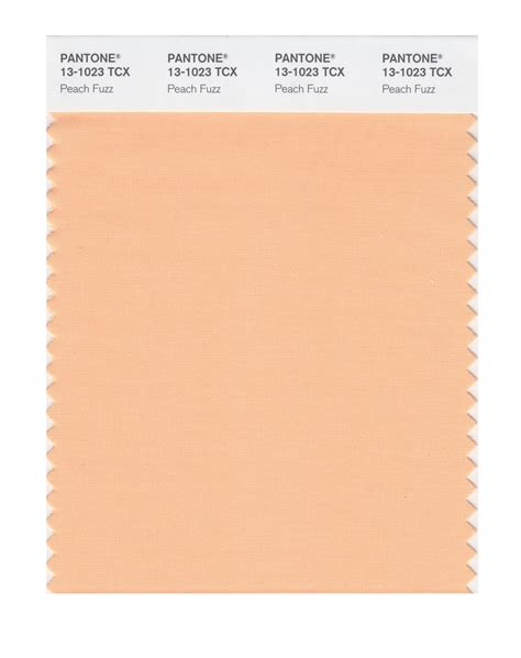 PANTONE Announces Peach Fuzz As The 2024 Color Of The Year