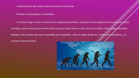 Evolución De Las Especies Humanas Desde Los Primeros Homínidos Ppt