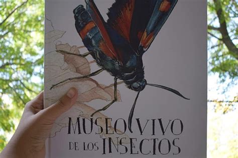 Elosorecomienda Museo Vivo De Los Insectos El Oso Y Su Libro