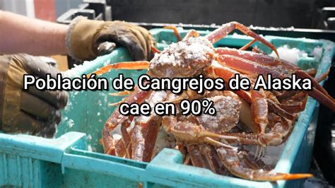 D Nde Est N Los Cangrejos Desaparecen Mil Millones De Cangrejos De