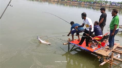 ভাই ভাই ফিসিং জোন রাসেল ভাইয়ের পুকুরে বিশাল বড় ব্লাক কার্প মাছের