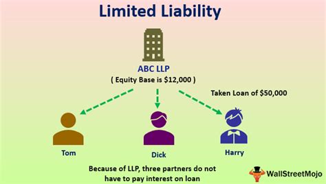 Limited Liability Company