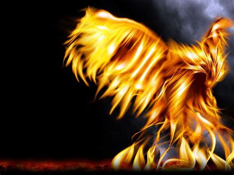 Phoenix Rising Wallpapers Top Free Phoenix Rising Backgrounds