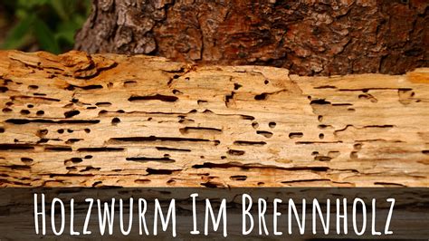 Brennholz Abdecken Holz Harry