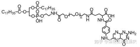 Dspe Peg2000 Fa，磷脂 Peg 叶酸专业讲解 靶向递送 知乎