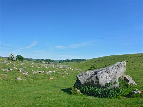 Photographs Of Fyfield Down National Nature Reserve Wiltshire England