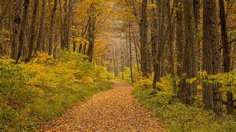 Top 3 Fall Hikes in Shenandoah Valley - Front Royal Outdoors