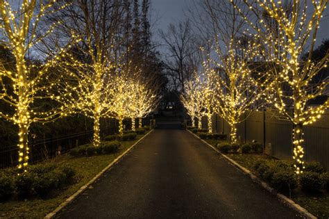 How To Hang Icicle Lights On Outside Tree Homeminimalisite