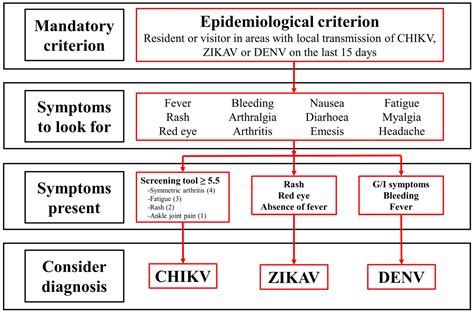 Tropicalmed Free Full Text Clinical Diagnosis Of Chikungunya