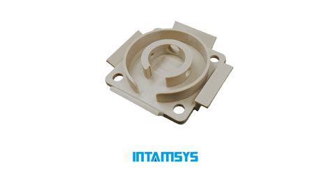 PEEK 3D Printing - INTAMSYS