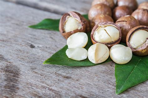 Macadamia Nut Day Days Of The Year 4th September