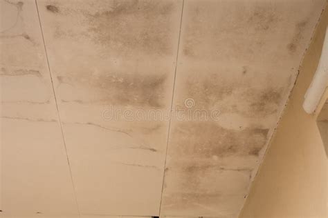 Water damaged ceiling stock image. Image of hand, grunge - 71010969