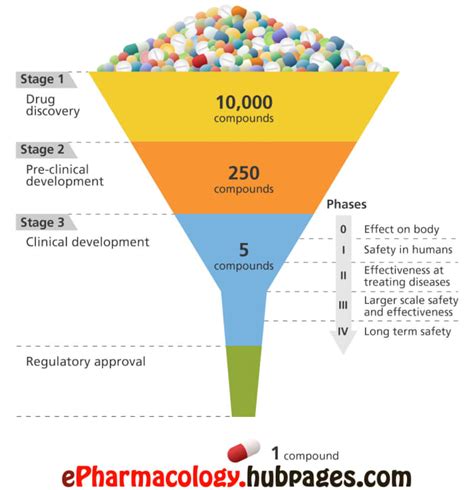 How Are Drugs Developed And Approved The Drug Development Process