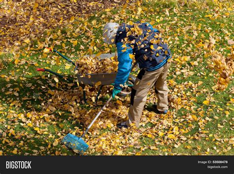 Man Trying Clean Lawn Image And Photo Free Trial Bigstock