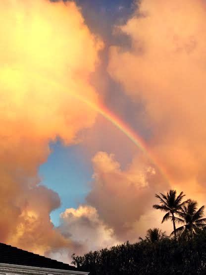 25 Hawaii Rainbows Ideas Hawaii Beautiful Rainbow Hawaiian Rainbow