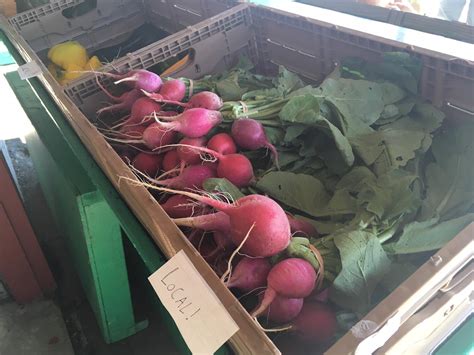 The First Somali-Owned Farm Stand Opens In Lewiston, Maine (USA ...