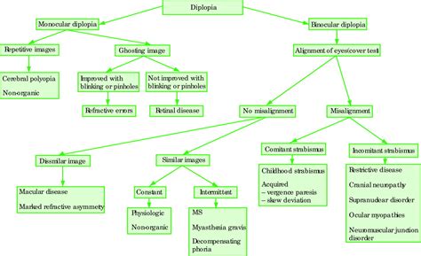 Diplopia And Eye Movement Disorders Journal Of Neurology