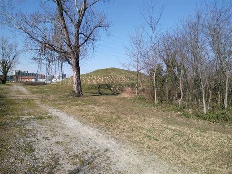 Area Verde Parco Cascina Gatti Le Piantumazioni Di Forestami Comune