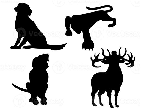 Wildlife Silhouettes Isolated 17164932 PNG