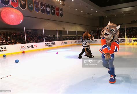 Edmonton Oilers Mascot Hunter The Lynx Participates During The Fan News Photo Getty Images