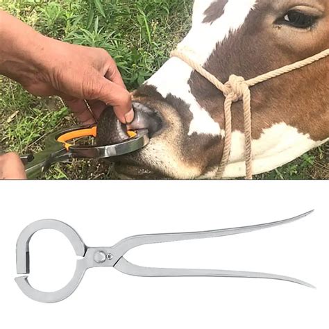 Cow Nose Pliers Farm Livestock Bull Cattle Nose Pliers Cow Nose Ring