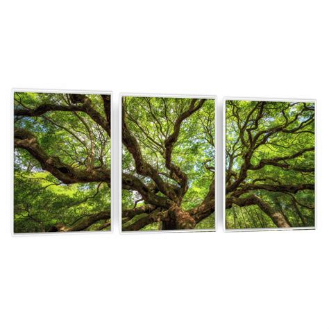 Quadro Canvas Trio Rvore Frondosa Moldura X Cm Cada