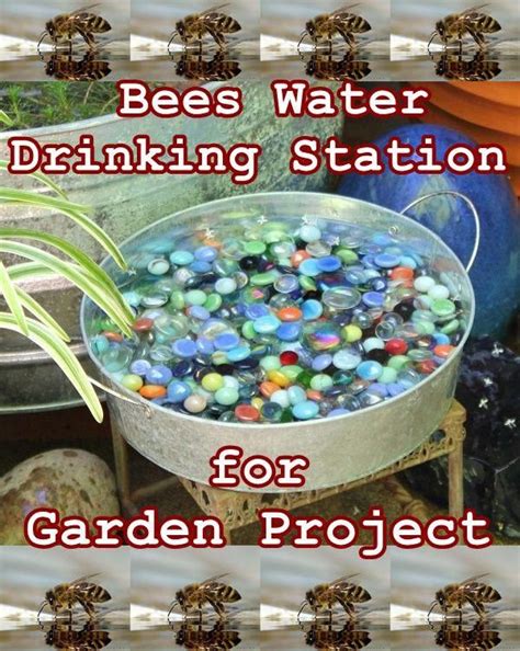 Bees Water Drinking Station For Garden Project The Homestead Survival