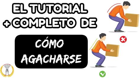 C Mo Agacharse De Forma Correcta Ejercicios Errores Caso Pr Ctico