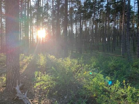 Catherine Free Photos 110 Nude Pics XHamster