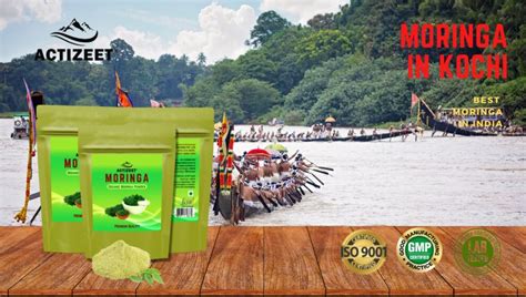 Moringa Powder In Kochi Kerala Best Moringa In India