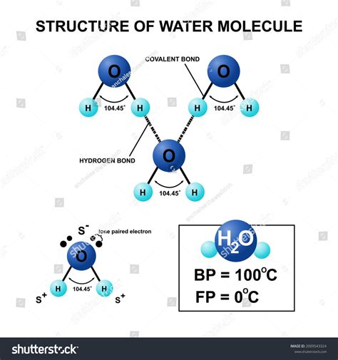 structure water moleculeiconchemical formulamodel isolated  stock