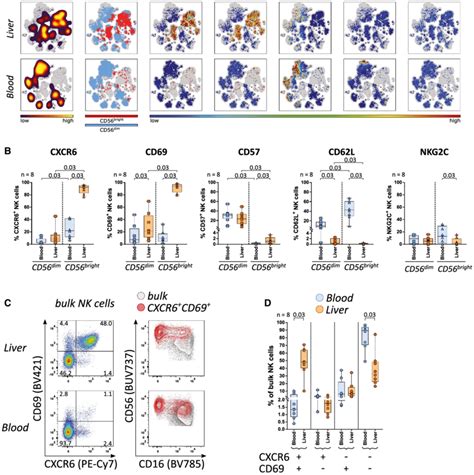 A Small Subset Of CXCR6 CD69 NK Cells Is Present In Peripheral