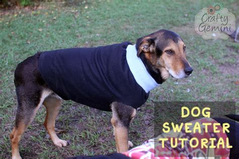 Dog Sweater Tutorial- DIY - Crafty Gemini