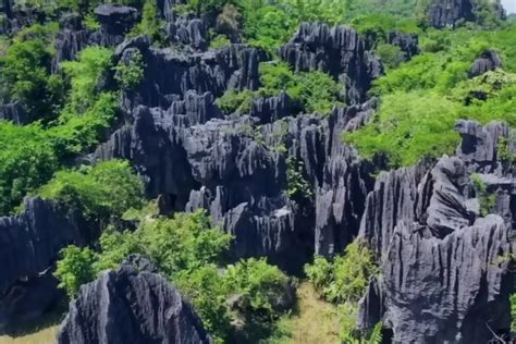 Fakta Menarik Pegunungan Karst Rammang Rammang Di Sulawesi Selatan