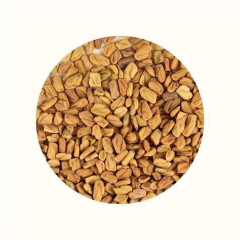 Buy FENUGREEK SEEDS Dallas, TX | CHIOMA Bulk Herbs