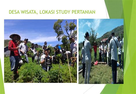 Desa Wisata Kampung Organik Dan Kampung Literasi Ppt