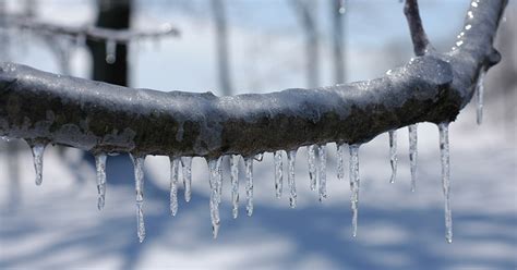 Preparing for Winter Weather: Ice Storms - - Ice Storm Response