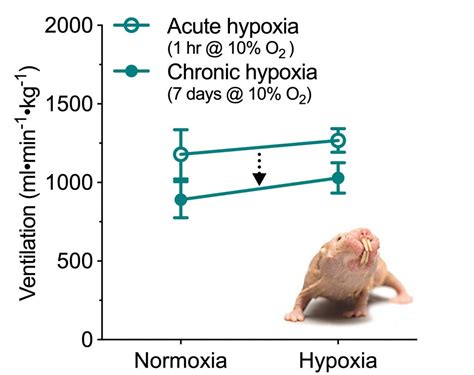 Control Of Breathing Pamenter Lab