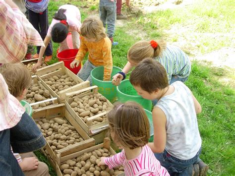 Äepelsfess im Museum Kartoffelfest und Mitmachaktionen Lindlar