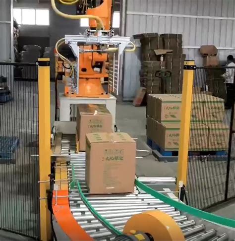 Industrial Multi Function High Speed Cobot Arm Robot Palletizing