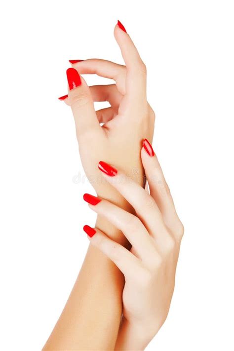 Woman Hands With Red Nails Stock Photo Image Of Female 24228004