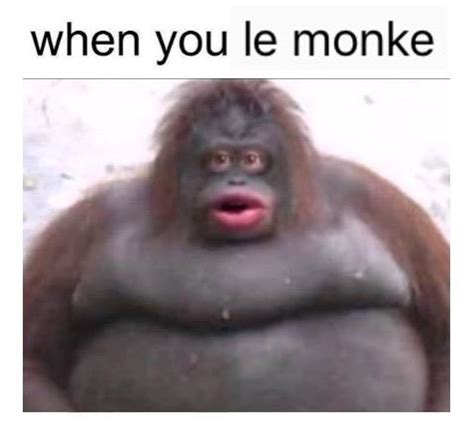 Le Monke | Know Your Meme