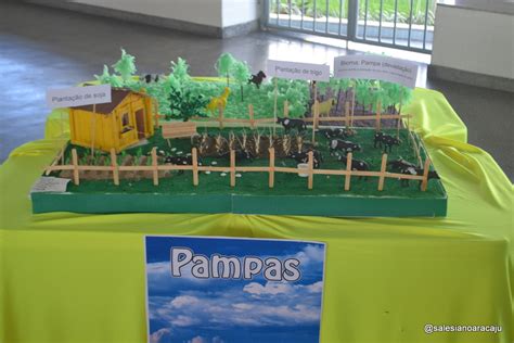 Colégio Salesiano Aracaju Alunos produzem maquetes sobre Biomas do Brasil