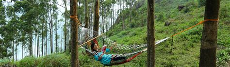 munnar nature zone resort munnar wildlife