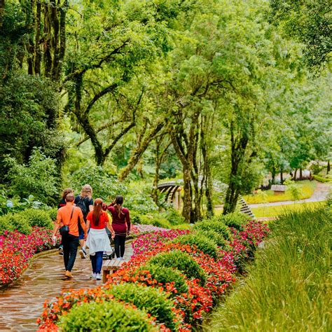 Parques Em Canela E Gramado - Ingressos em Gramado e Canela: 6 opções imperdíveis