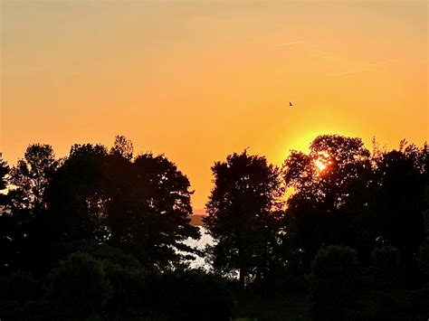 golden glow hw fielding