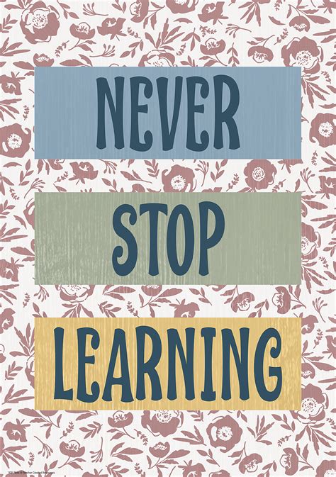 Never Stop Learning Positive Poster Classroom Cottage 882319025796