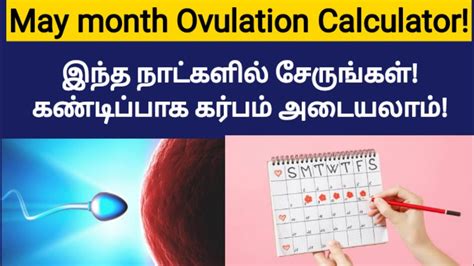 How To Find Ovulation Day In Tamil Ovulation Calculator In Tamil