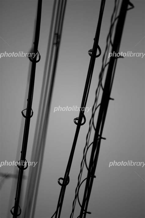 電線 写真素材 3078808 フォトライブラリー Photolibrary