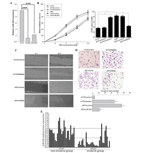 Mir Sensitizes Glioma Cells To Temozolomide And Inhibits Glioma